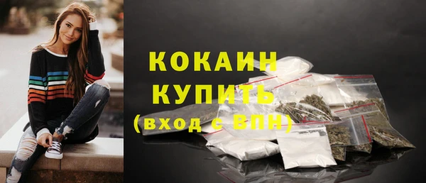 кокс Алексин