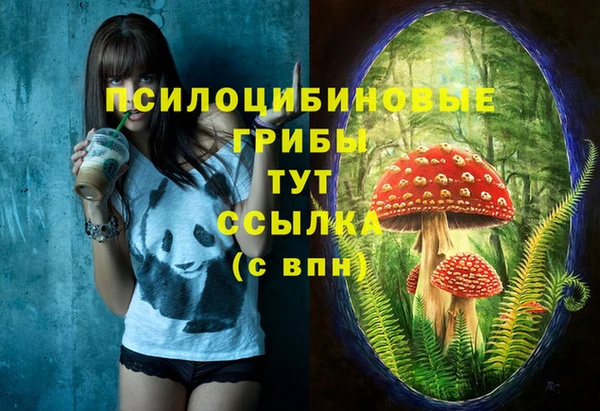 a pvp Алексеевка