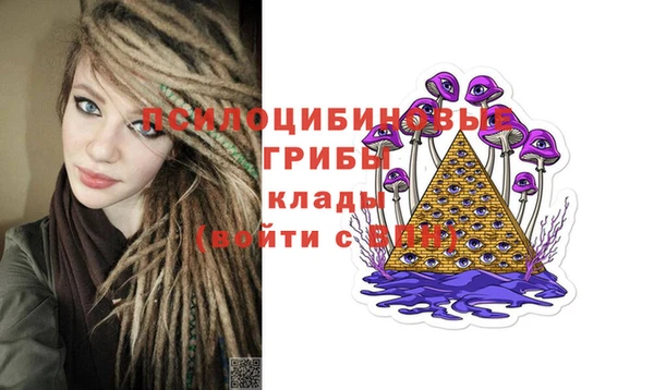 a pvp Алексеевка