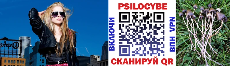 KRAKEN как зайти  Черкесск  Псилоцибиновые грибы прущие грибы 