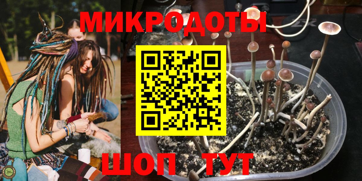 Черкесск  Галлюциногенные грибы Psilocybe  где можно купить наркотик  Псилоцибиновые грибы мицелий  Вход с VPN 