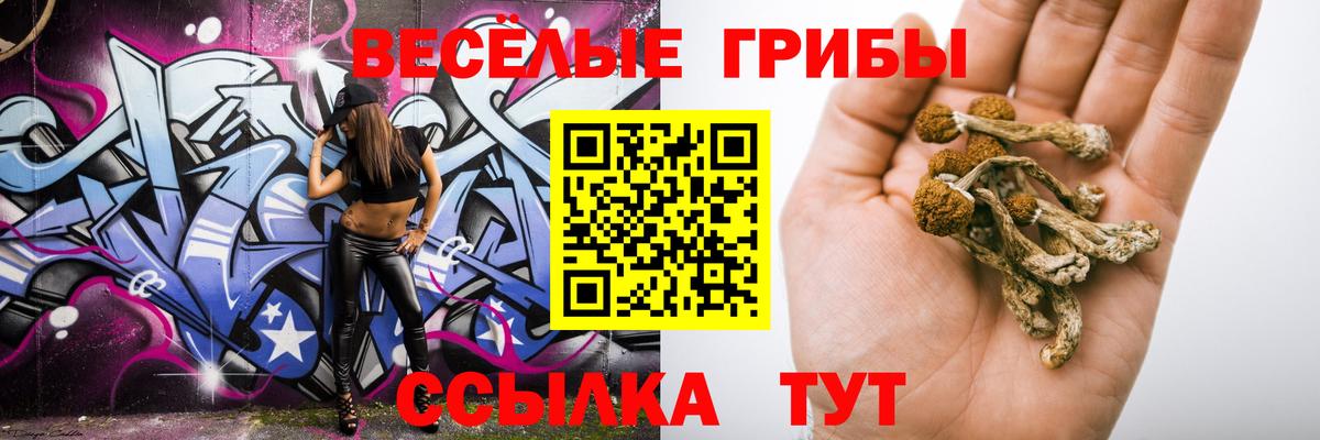 Галлюциногенные грибы мухоморы Черкесск